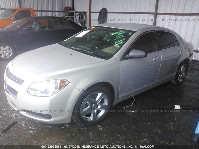 1G1ZA5E08AF105483 - 2010 CHEVROLET MALIBU LS თაფლისფერი ფოტო 2