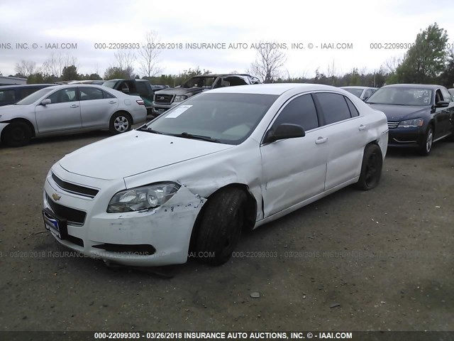 1G1ZA5E08CF355535 - 2012 CHEVROLET MALIBU LS 白色 照片 2