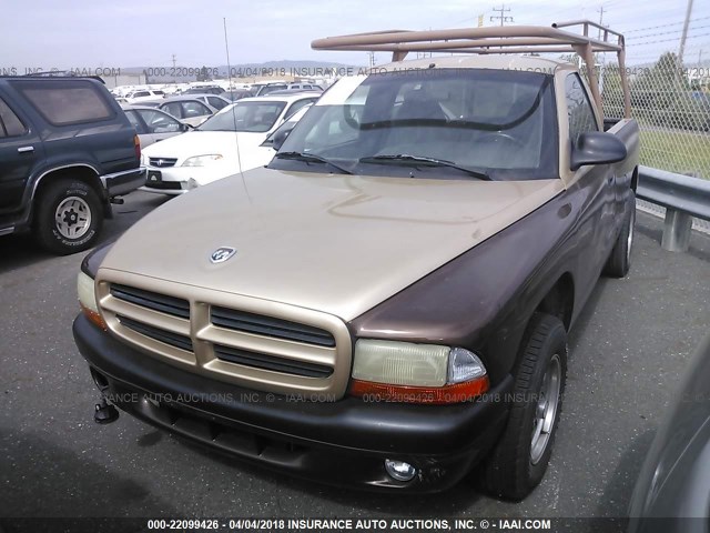 1B7FL26P8WS709998 - 1998 DODGE DAKOTA BROWN photo 2