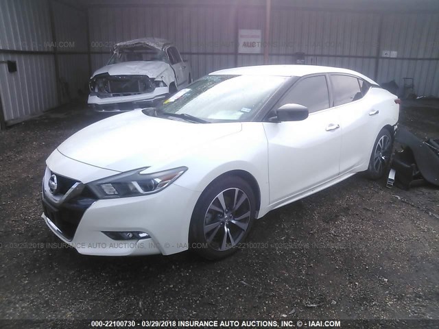 1N4AA6AP0GC400011 - 2016 NISSAN MAXIMA 3.5S/SV/SL/SR/PLAT WHITE photo 2