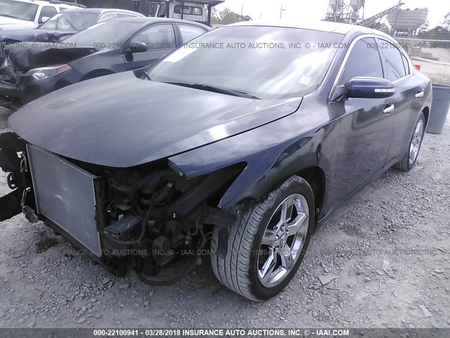 1N4AA51E19C807802 - 2009 NISSAN MAXIMA S/SV BLUE photo 2