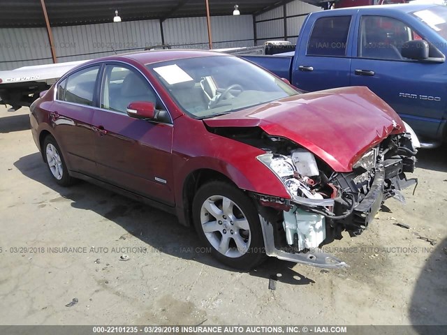 1N4CL21E29C114061 - 2009 NISSAN ALTIMA HYBRID RED photo 1