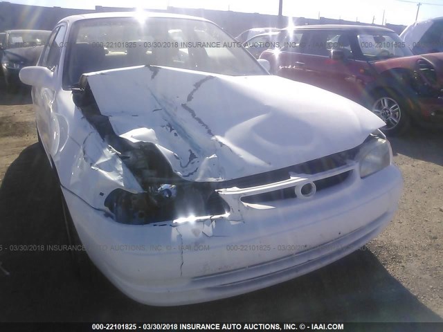 2T1BR18E6WC099894 - 1998 TOYOTA COROLLA VE/CE/LE WHITE photo 6