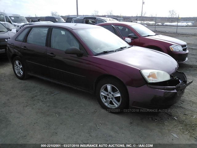 1G1ZT64874F214254 - 2004 CHEVROLET MALIBU MAXX LS MAROON photo 1