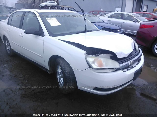 1G1ZT54815F327192 - 2005 CHEVROLET MALIBU LS Ağ foto 1