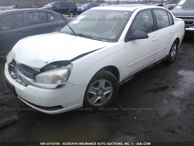 1G1ZT54815F327192 - 2005 CHEVROLET MALIBU LS Ağ foto 2