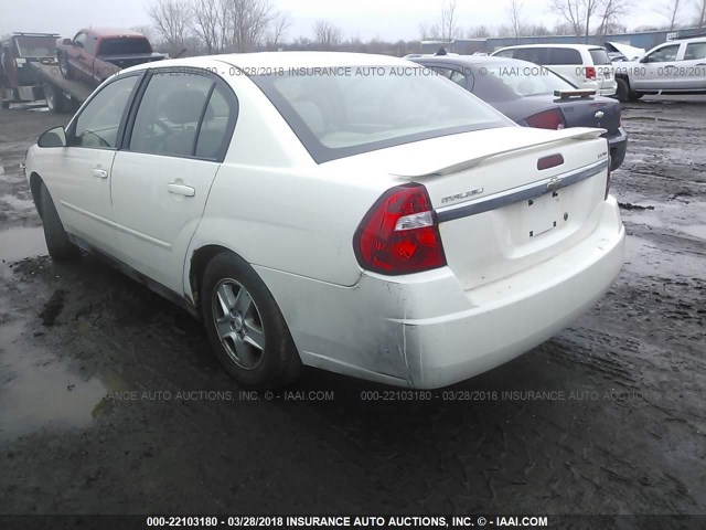 1G1ZT54815F327192 - 2005 CHEVROLET MALIBU LS Ağ foto 3