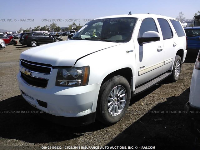 1GNUKDDJ0AR264667 - 2010 CHEVROLET TAHOE HYBRID WHITE photo 2