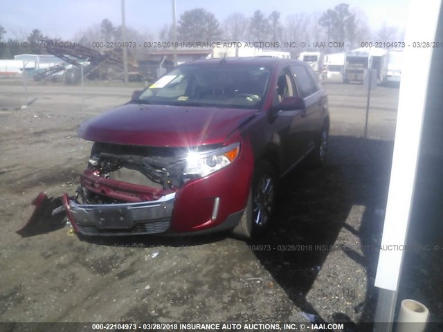 2FMDK4KC4DBA03817 - 2013 FORD EDGE LIMITED MAROON photo 2