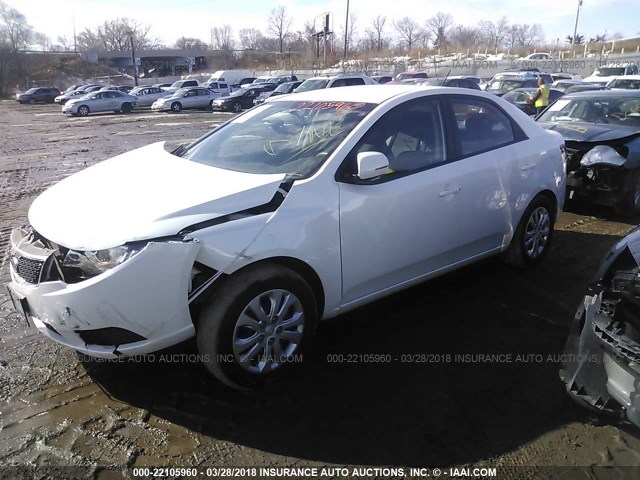 KNAFU4A25D5730465 - 2013 KIA FORTE EX WHITE photo 2