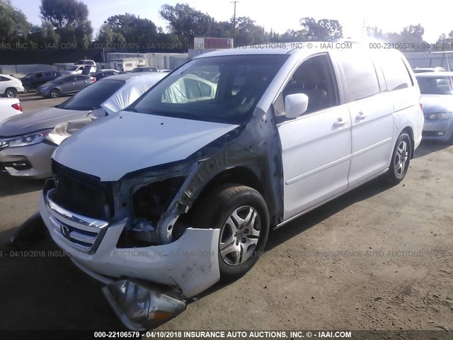 5FNRL38617B456772 - 2007 HONDA ODYSSEY EXL თეთრი ფოტო 2