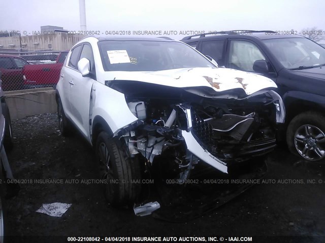 KNDPCCAC6E7566551 - 2014 KIA SPORTAGE EX WHITE photo 6