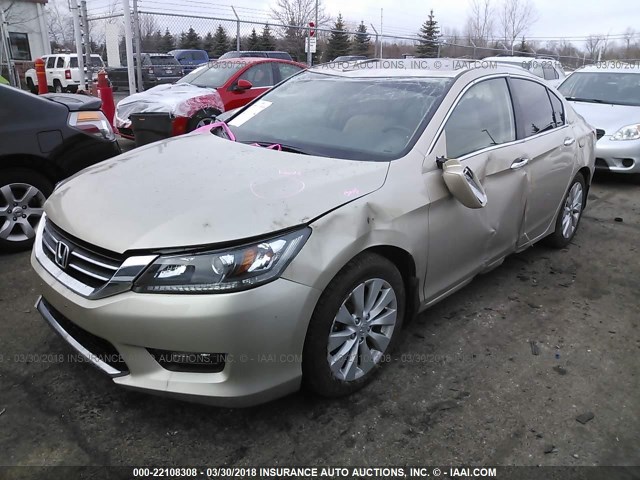 1HGCR2F71EA110397 - 2014 HONDA ACCORD EX GOLD photo 2