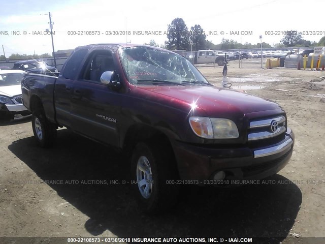 5TBRT34165S471831 - 2005 TOYOTA TUNDRA ACCESS CAB SR5 BURGUNDY photo 1