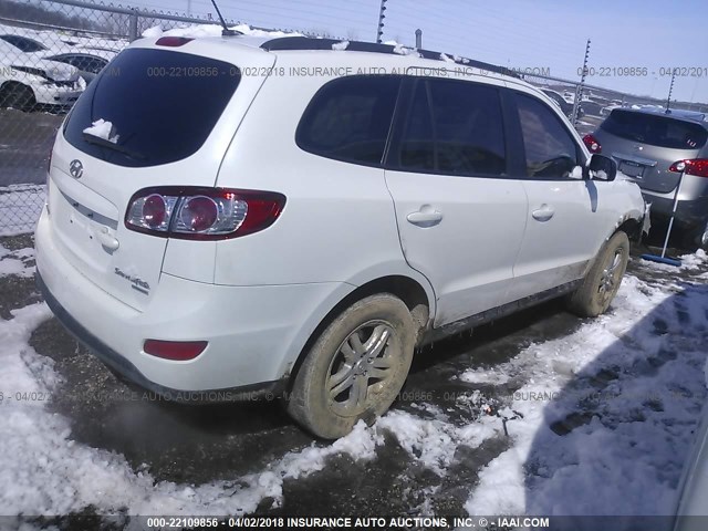 5NMSGDAB5AH376464 - 2010 HYUNDAI SANTA FE GLS WHITE photo 4