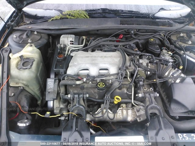 1G2WJ12M7TF202059 - 1996 PONTIAC GRAND PRIX SE მწვანე ფოტო 10