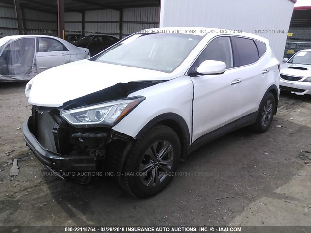 5XYZTDLB3DG070739 - 2013 HYUNDAI SANTA FE SPORT  WHITE photo 2