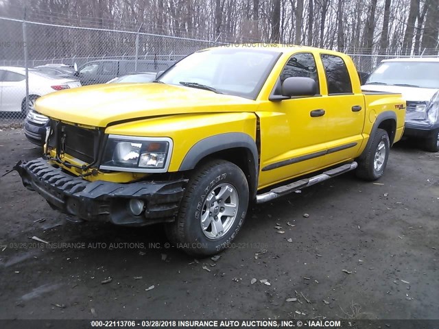 1D7HW78N28S558142 - 2008 DODGE DAKOTA TRX YELLOW photo 2