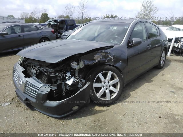 1N4BA41E05C851878 - 2005 NISSAN MAXIMA SE/SL GRAY photo 2