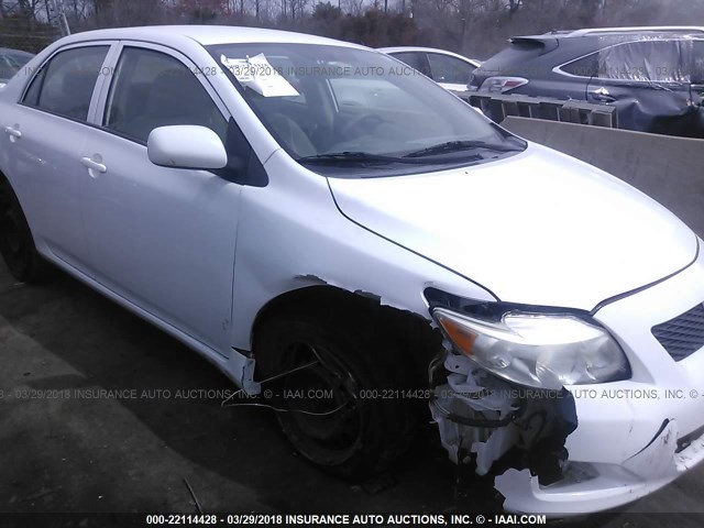 1NXBU4EE9AZ293539 - 2010 TOYOTA COROLLA S/LE/XLE WHITE photo 6