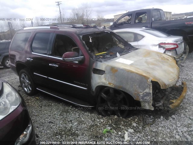 1GYFK63888R233313 - 2008 CADILLAC ESCALADE LUXURY Բորդո լուսանկար 1