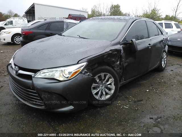 4T4BF1FK9GR519039 - 2016 TOYOTA CAMRY LE/XLE/SE/XSE GRAY photo 2