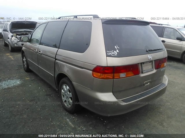 5FNRL18093B082115 - 2003 HONDA ODYSSEY EXL ოქროსფერი ფოტო 3