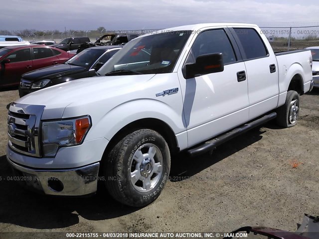 1FTRW12839FA51159 - 2009 FORD F150 SUPERCREW WHITE photo 2