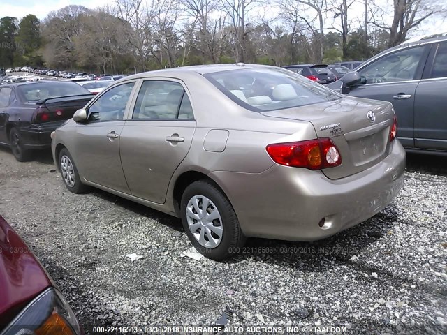 1NXBU40E69Z087114 - 2009 TOYOTA COROLLA S/LE/XLE GOLD photo 3