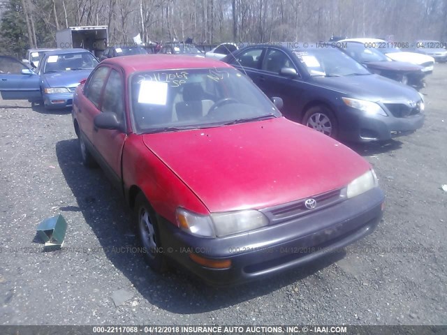 2T1BA02E4TC133384 - 1996 TOYOTA COROLLA RED photo 1