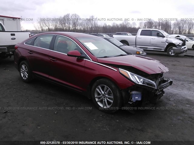 5NPE24AF8FH150959 - 2015 HYUNDAI SONATA SE RED photo 1