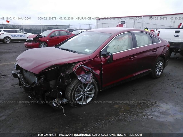 5NPE24AF8FH150959 - 2015 HYUNDAI SONATA SE RED photo 2