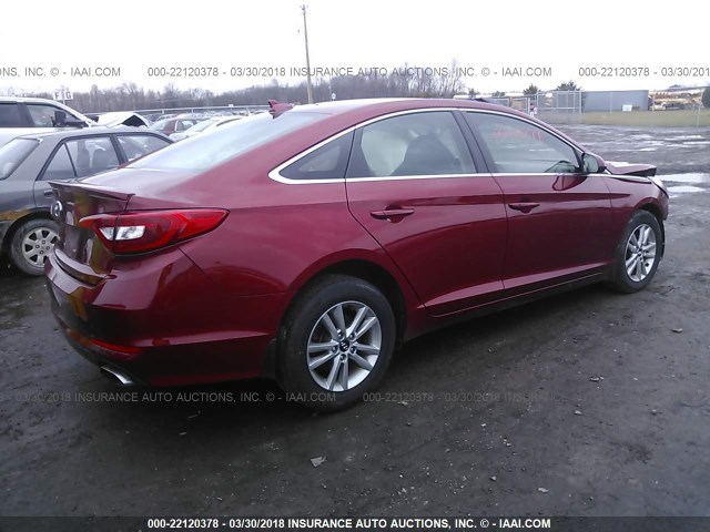 5NPE24AF8FH150959 - 2015 HYUNDAI SONATA SE RED photo 4