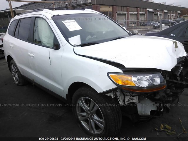 5XYZHDAG9BG010607 - 2011 HYUNDAI SANTA FE SE WHITE photo 1