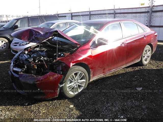 4T1BF1FKXHU703739 - 2017 TOYOTA CAMRY LE/XLE/SE/XSE მუქწითელი ფოტო 2