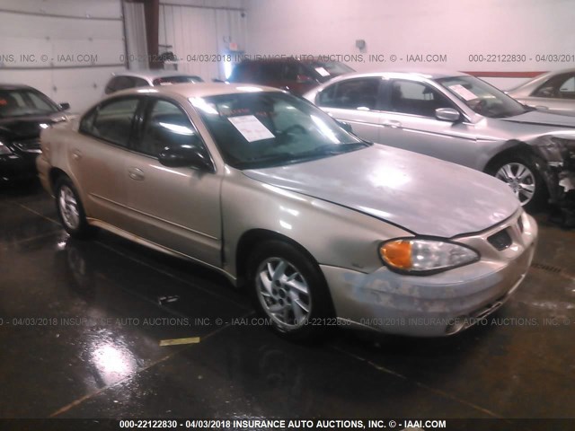 1G2NF52E74M593871 - 2004 PONTIAC GRAND AM SE1 GOLD photo 1