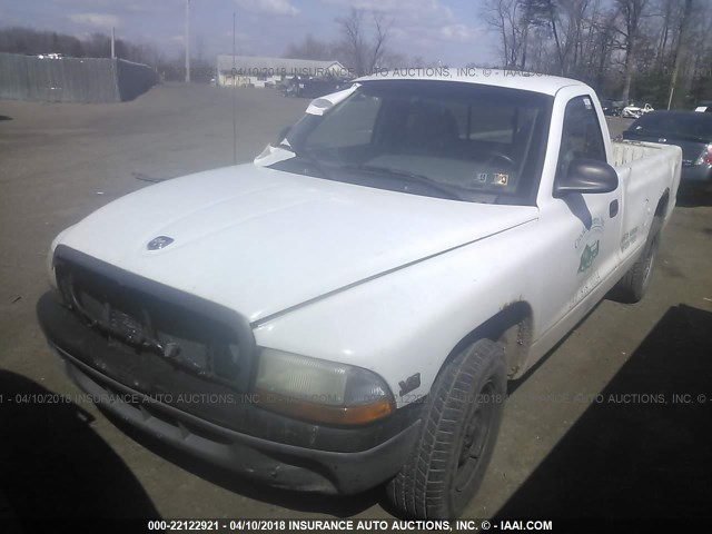 1B7FL26X1XS296548 - 1999 DODGE DAKOTA WHITE photo 2