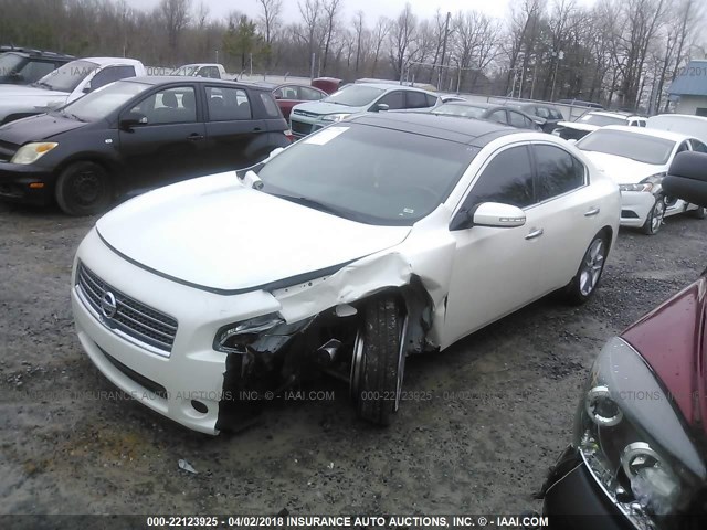 1N4AA5AP7BC814289 - 2011 NISSAN MAXIMA S/SV WHITE photo 2