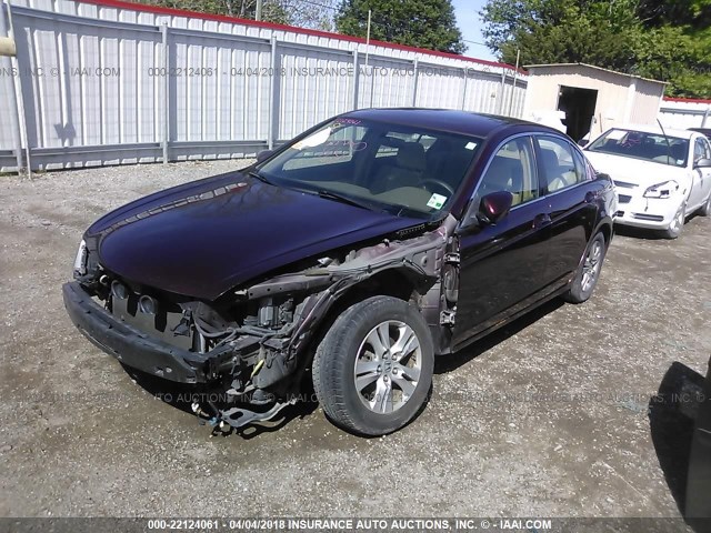 JHMCP26458C019036 - 2008 HONDA ACCORD LXP PURPLE photo 2