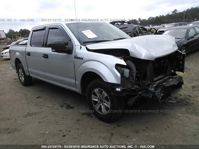1FTEW1CP6FFA66884 - 2015 FORD F150 SUPERCREW SILVER photo 1