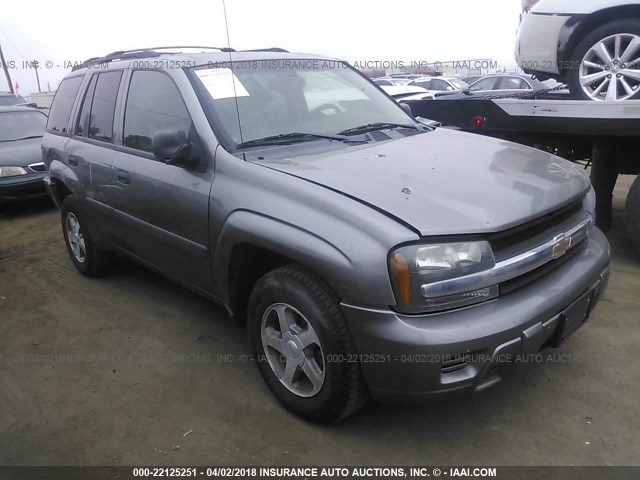 1GNDT13S052220818 - 2005 CHEVROLET TRAILBLAZER LS/LT GRAY photo 1