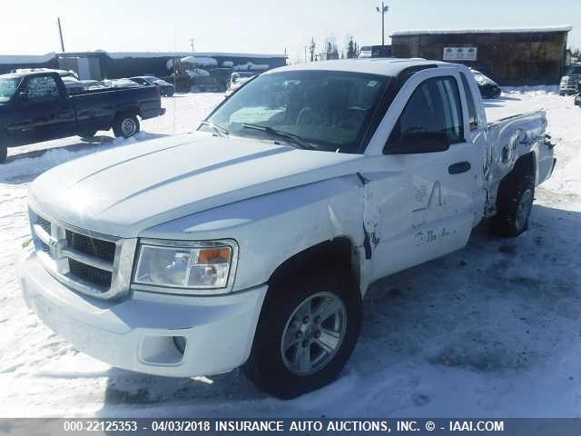 1D3HW42K98S611465 - 2008 DODGE DAKOTA SLT WHITE photo 2