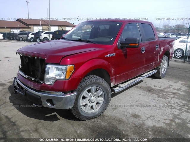 1FTEW1E82AFD17401 - 2010 FORD F150 SUPERCREW RED photo 2