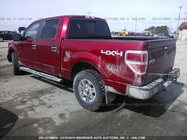 1FTEW1E82AFD17401 - 2010 FORD F150 SUPERCREW RED photo 3
