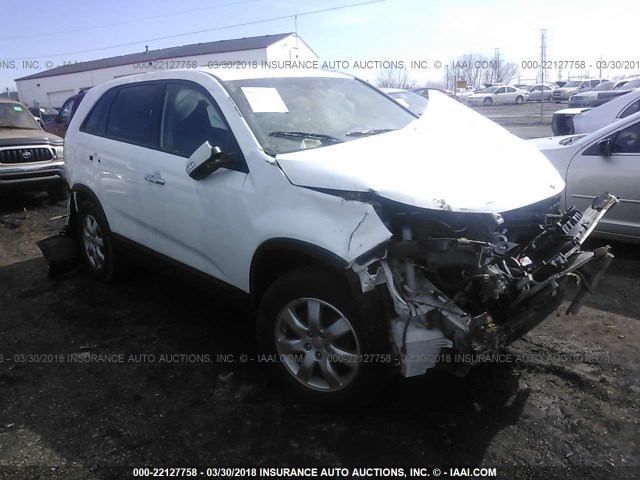 5XYKT3A13DG373266 - 2013 KIA SORENTO LX თეთრი ფოტო 1