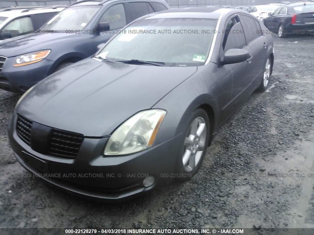 1N4BA41E65C875702 - 2005 NISSAN MAXIMA SE/SL GRAY photo 2