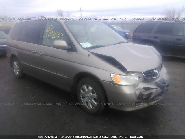 5FNRL18013B140539 - 2003 HONDA ODYSSEY EXL ოქროსფერი ფოტო 1