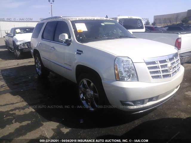 1GYUKCEF3AR223571 - 2010 CADILLAC ESCALADE PREMIUM WHITE photo 1