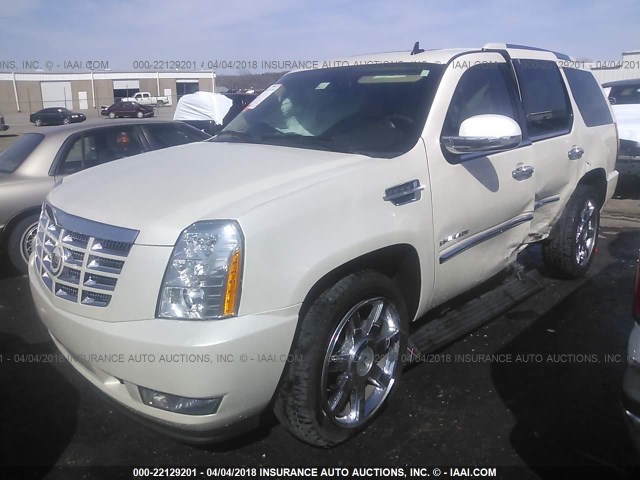 1GYUKCEF3AR223571 - 2010 CADILLAC ESCALADE PREMIUM WHITE photo 2