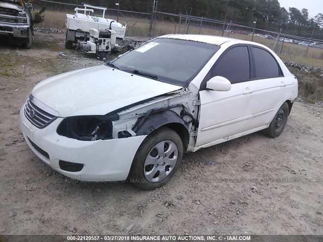 KNAFE121485554631 - 2008 KIA SPECTRA EX/LX/SX WHITE photo 2